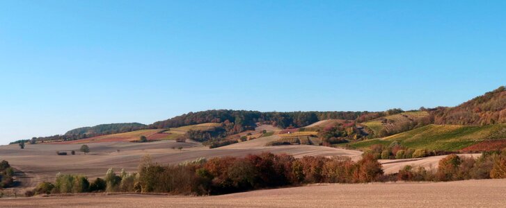 Hilly vineyard arable