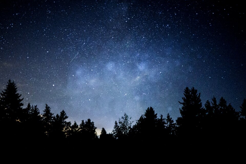 Summer field astronomy photo