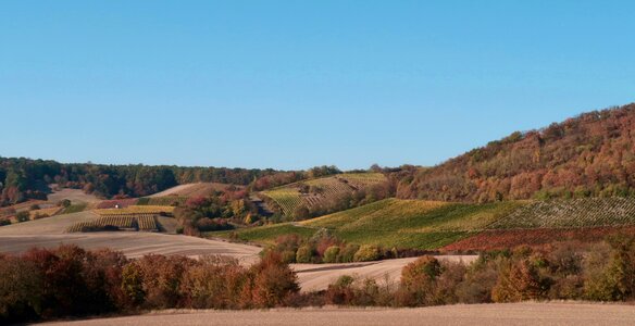 Hilly vineyard arable