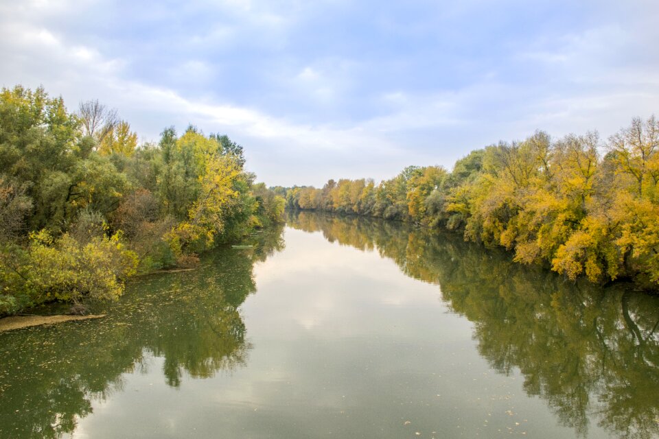 River nature landscape