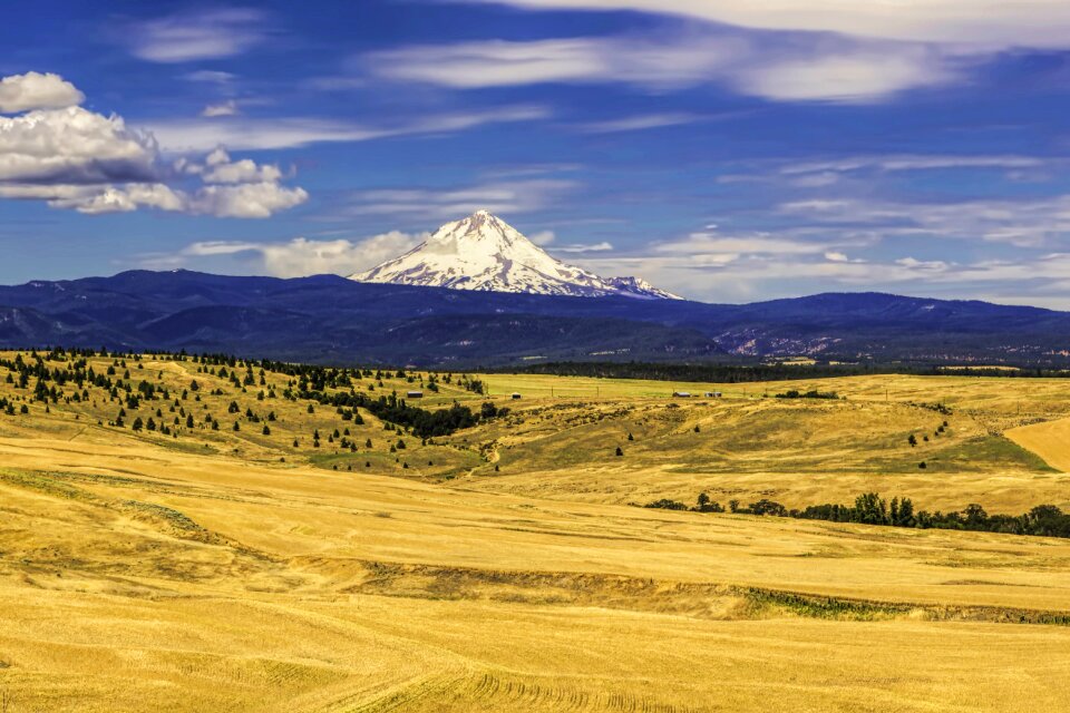Scenic landscape usa