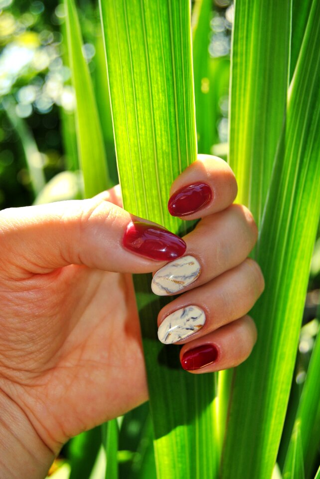 Hands hybrid manicure