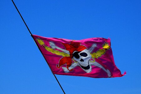 Pirate the mast death