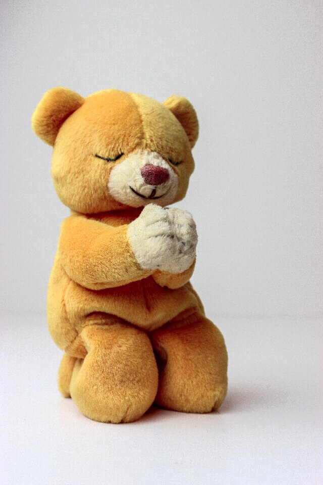 Praying teddy sweet