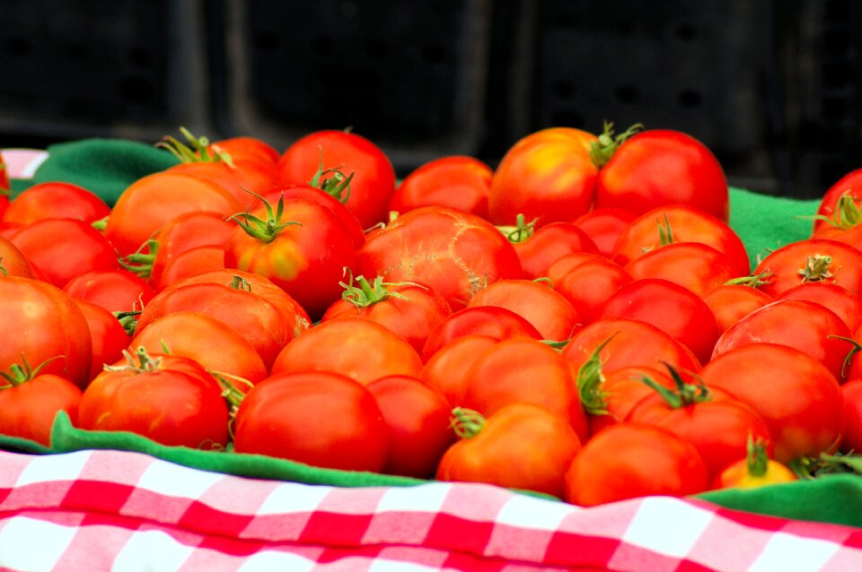 Food harvest market