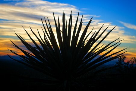 Outdoor west dusk