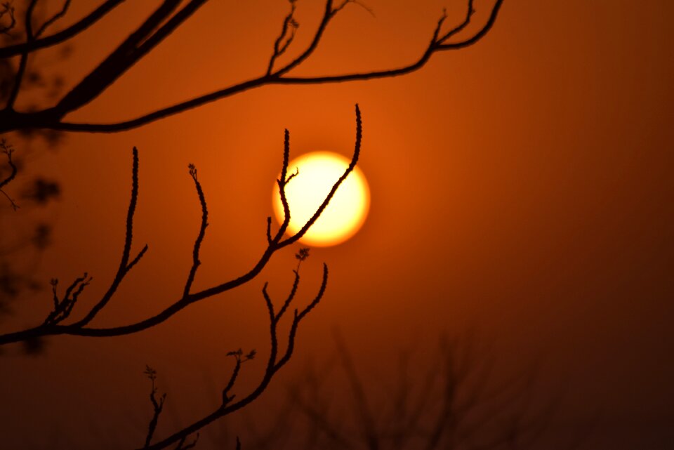 Nature dawn sun