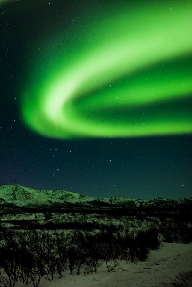 Night landscape nature