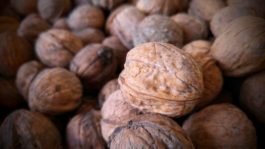 Walnut autumn crop