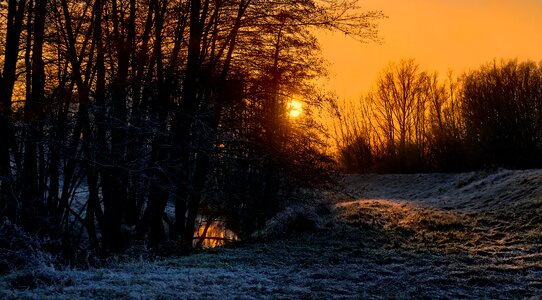 Cold nature landscape