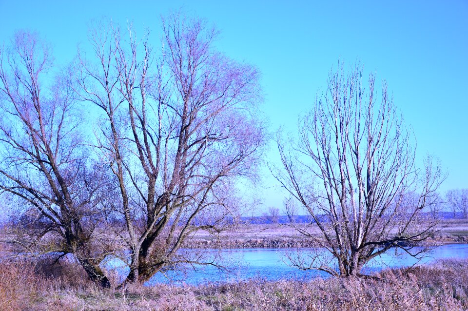 River river landscape meadow
