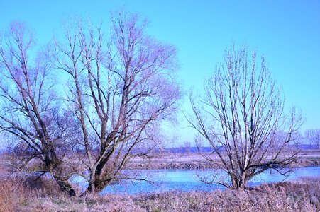 River river landscape meadow photo