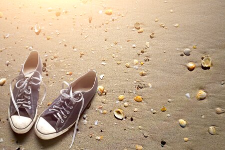 Shoes shells brown shoes