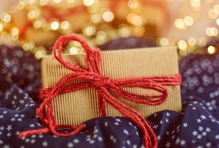 Christmas merry ecology