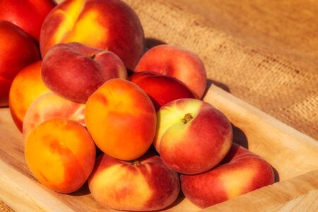 Apricots nectarine peach photo
