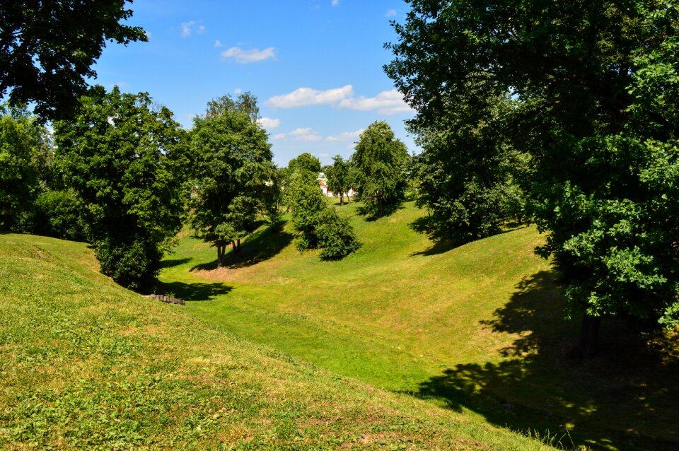 Meadow trees landscape photo