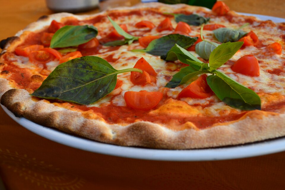 Basil tomatoes cheese