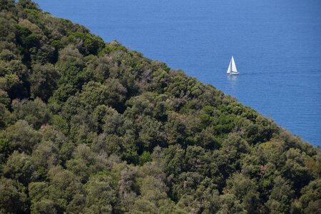 Sea nature ship