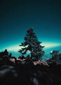 Sky trees clouds