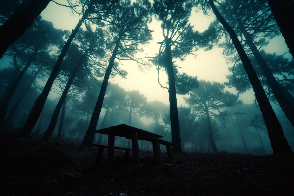 Landscape mystic mysterious
