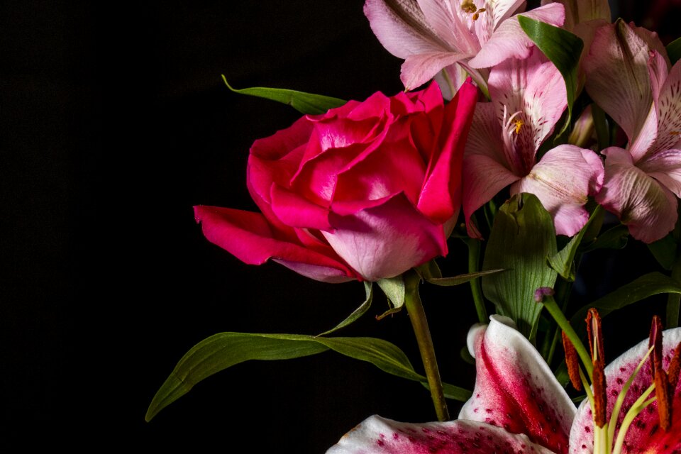 Bloom bouquet decoration
