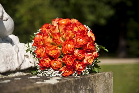 Wedding bouquet bouquet blossom