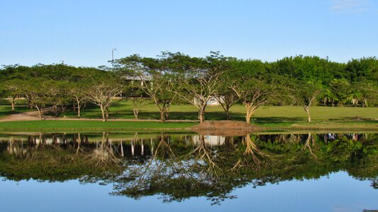 Lake tropical tree photo