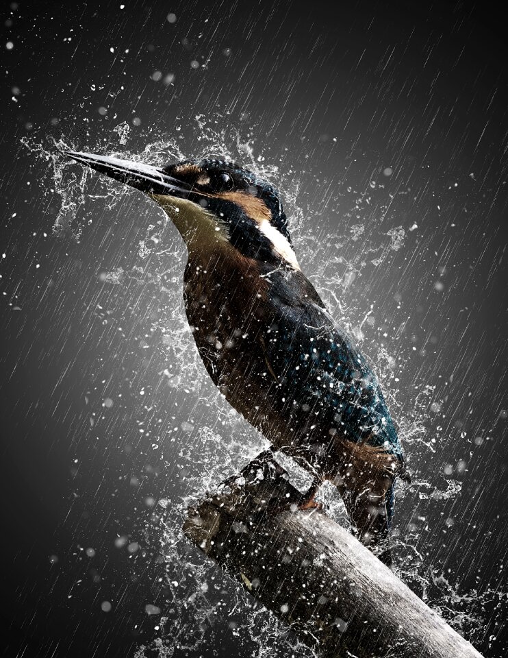 Effect manipulation nature