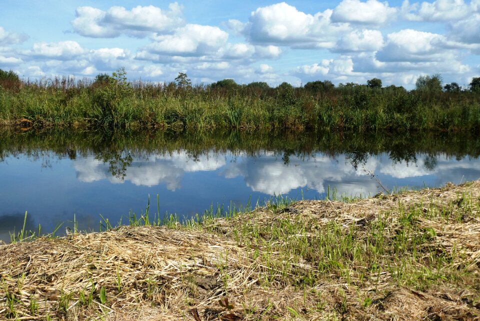 Ditch reflect grass