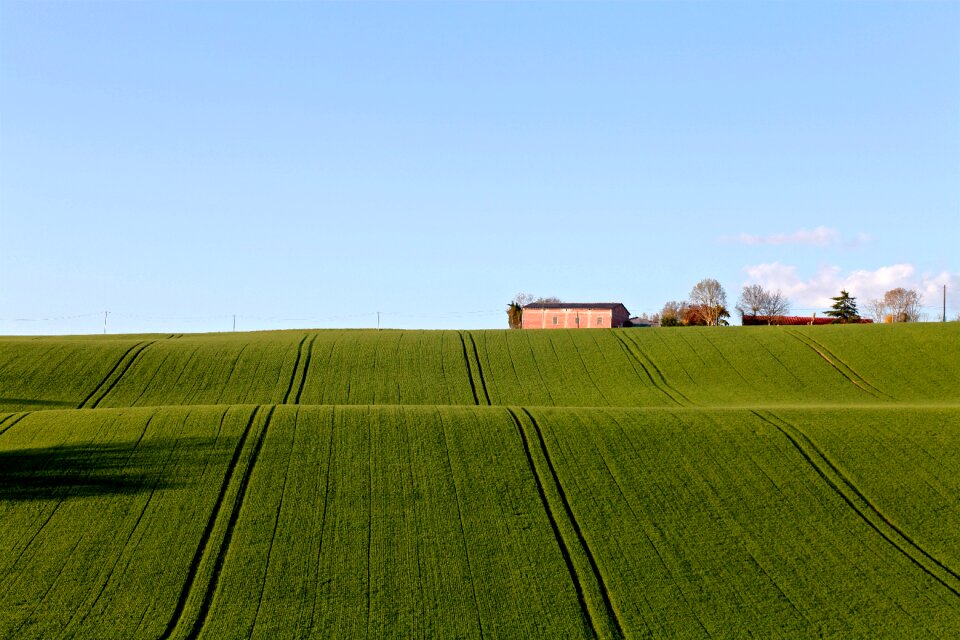 Landscape grass nature