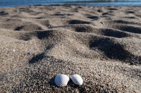 Romantic sand beach photo