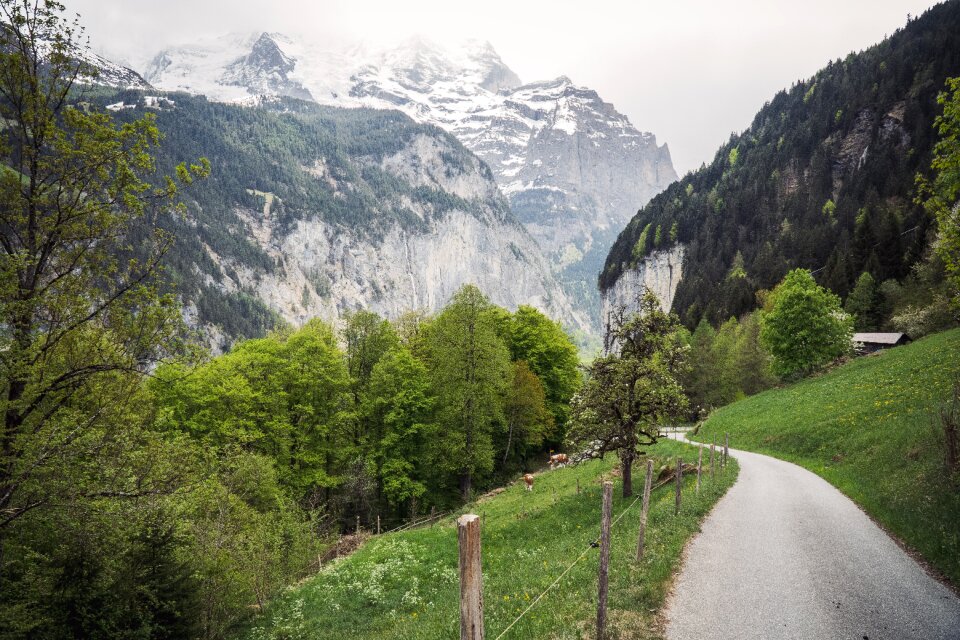 Landscape nature outdoors