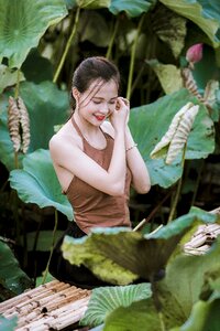 Girl vietnam lotus photo
