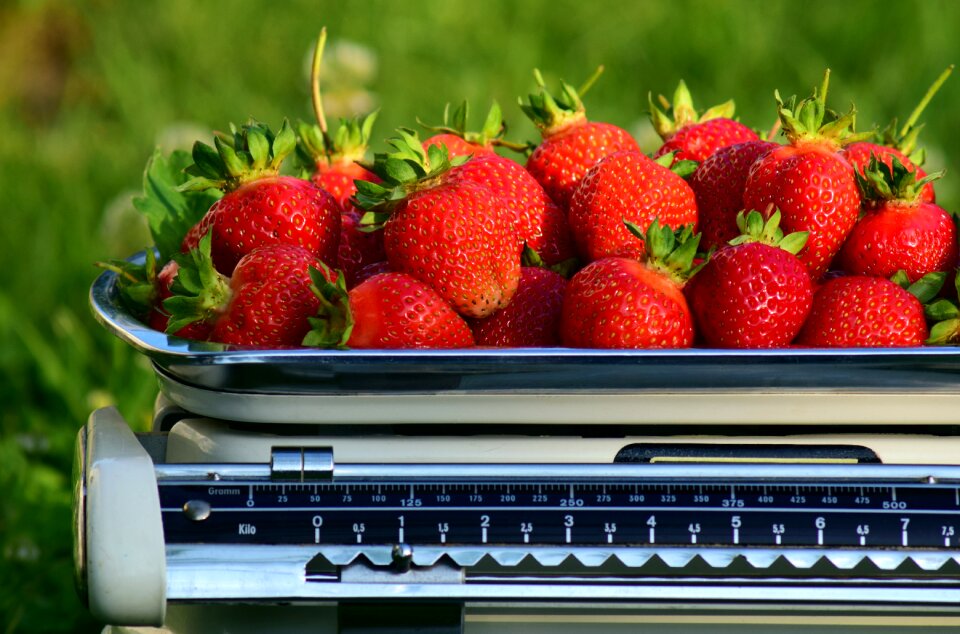 Weight fresh harvest