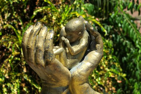 Protective hand fetus protection