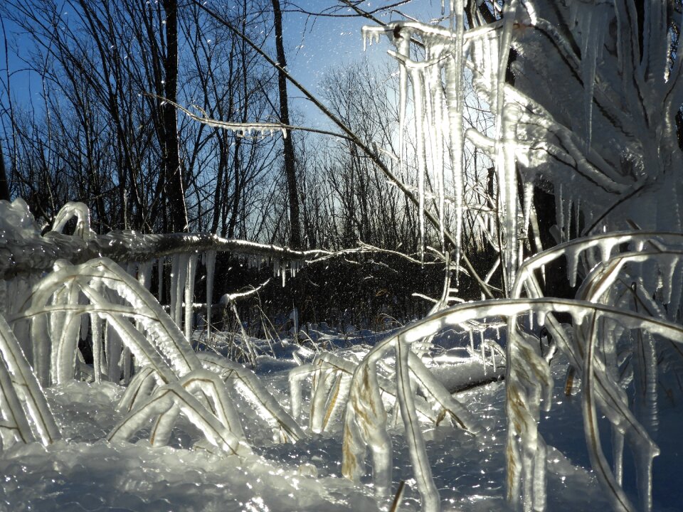 Cold ice frost photo