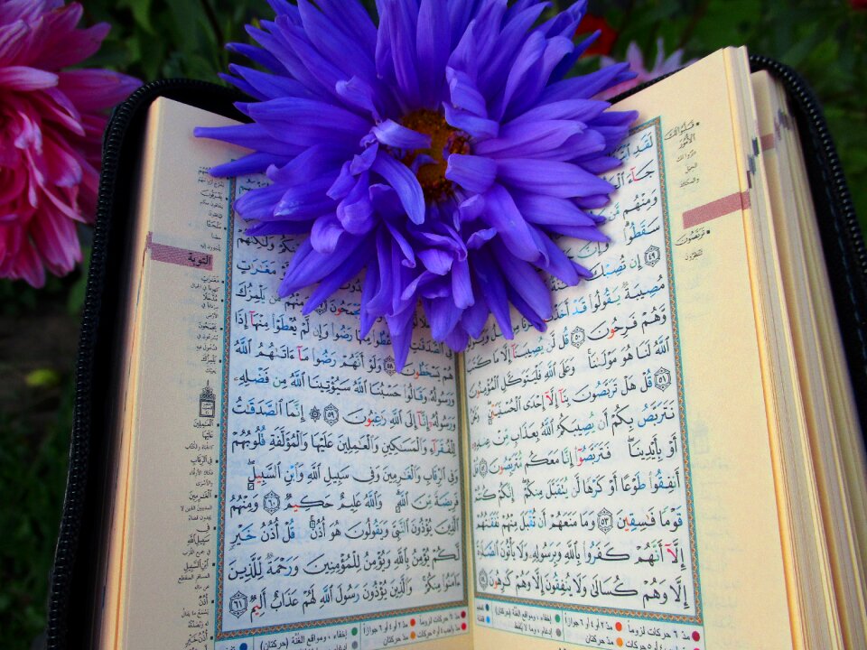 Muslims mosque islam