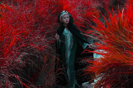 Fantasy world celtic fairy