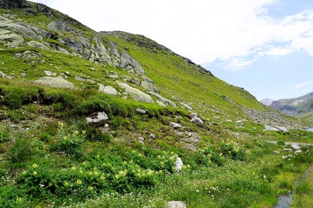 Mountain panorama summer photo