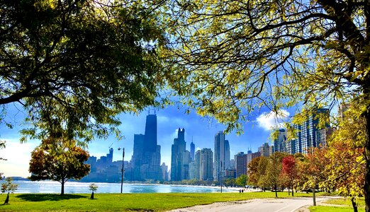 Chicago nature city