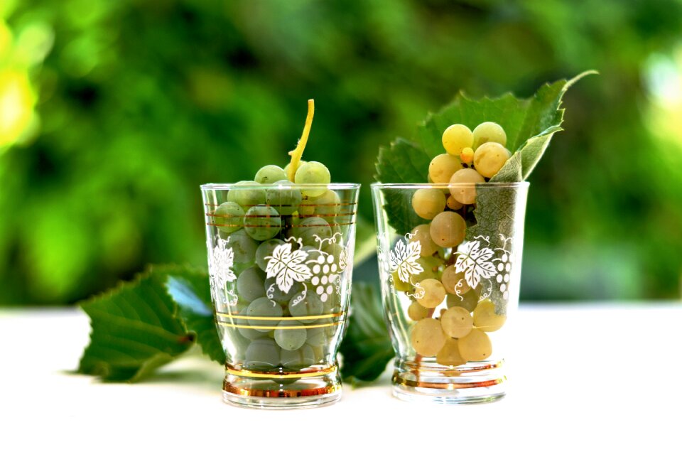 Fruit glass still life