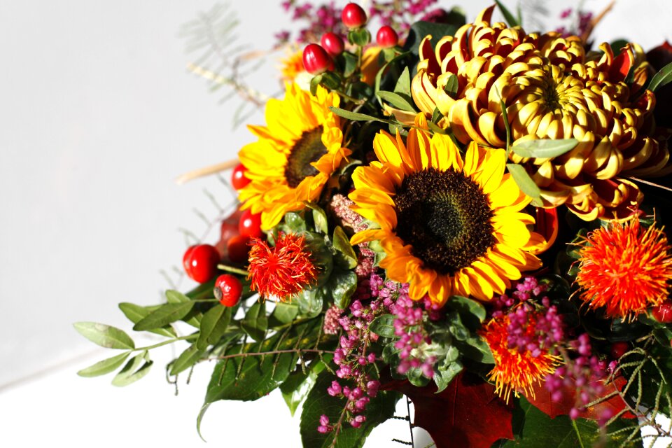 Decoration autumn flowers floral decorations