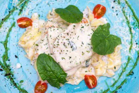Dish green cuisine