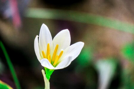 White yellow green