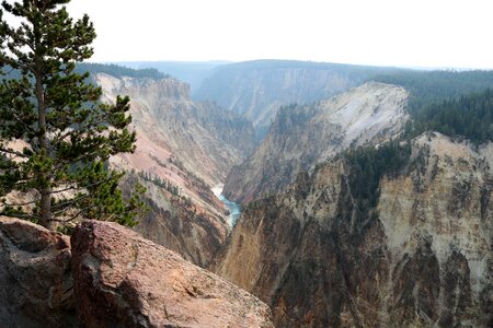 National park america yellowstone photo