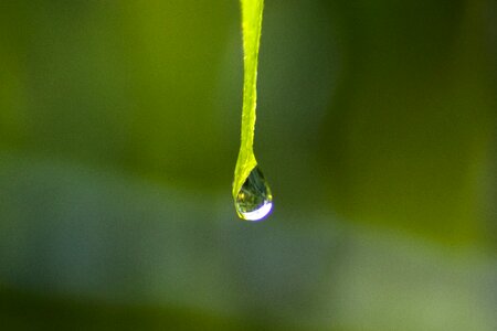 Liquid nature drop of water photo