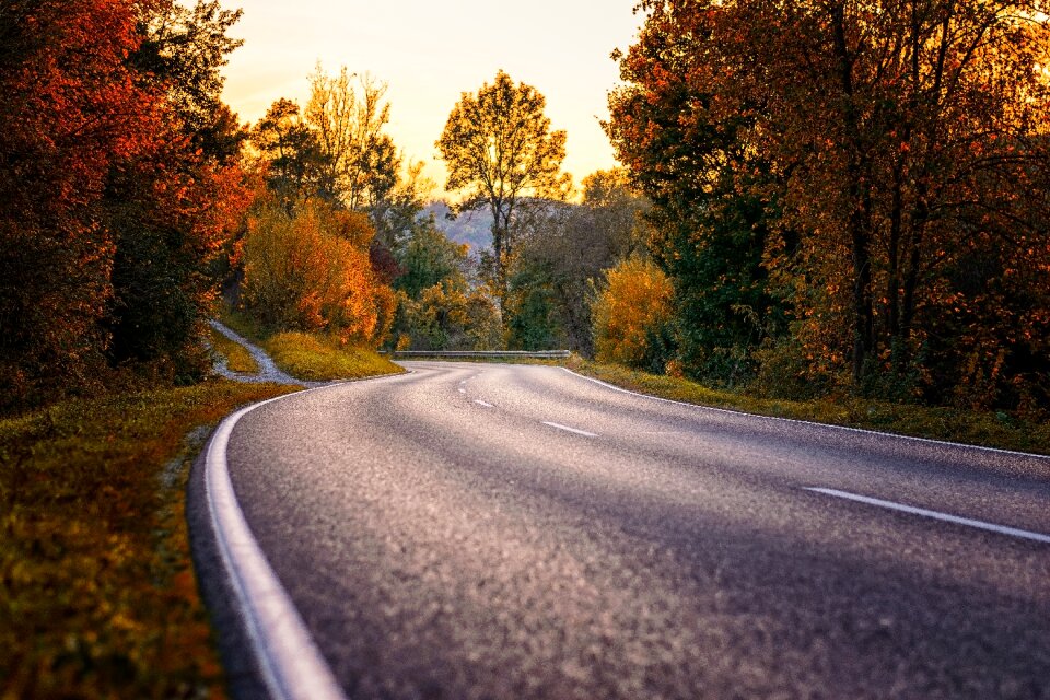 Asphalt route forest