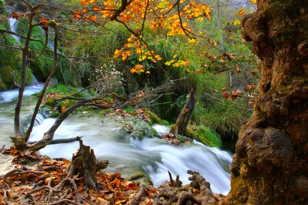 Landscape bach waterfall