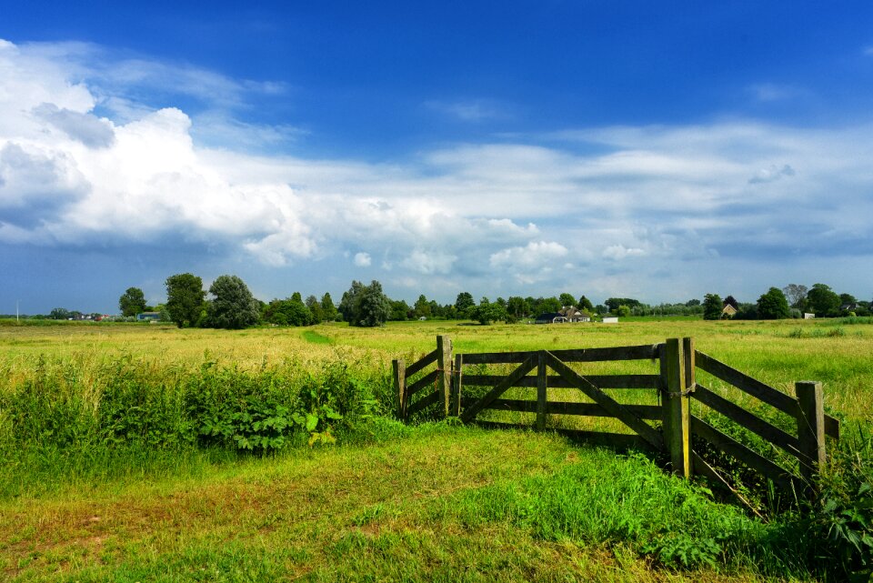 Dutch landscape holland netherlands