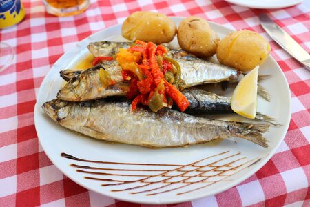 Portugal sardines marine products